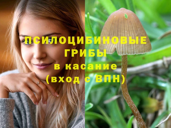 ALPHA PVP Алексин