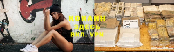 ешки Алзамай
