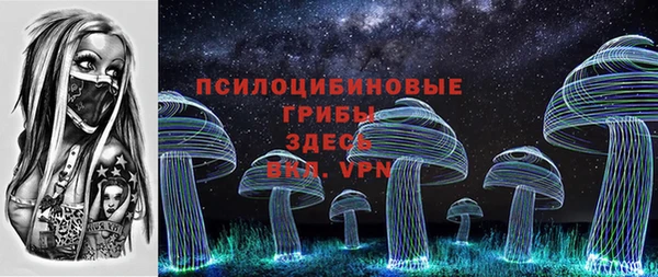 ешки Алзамай