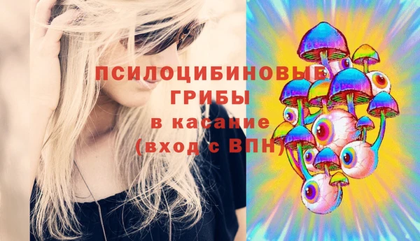 ешки Алзамай