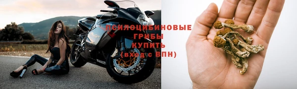 ALPHA PVP Алексин