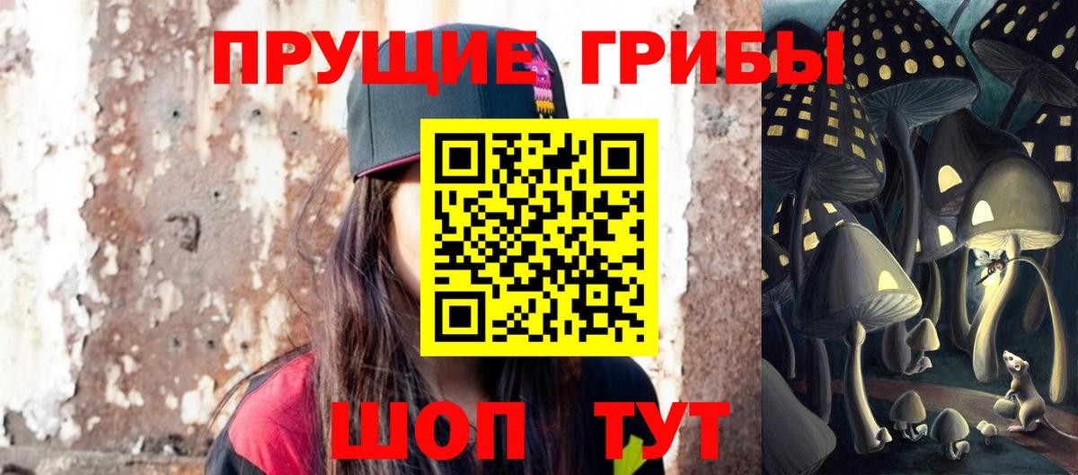Псилоцибиновые грибы GOLDEN TEACHER Топки